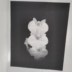 Image personnalisée toile papier Art peintures murales affiche impression photographes éducation <span class=keywords><strong>agence</strong></span> de voyage salon agricole - Product Image 5