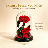 Rose éternelle préservée au toucher réel, longue durée de vie, sous dôme, avec écran LED 15x25cm - Édition Noël et Nouvel An