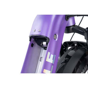 Vélo électrique Snapcycle R1 Pro Step Thru City, cadre en aluminium 6061, vitesse de 20 mph, autonomie de 30 à 60 miles, classe 2/3, charge utile de 330 lb, Snapcycle R1 Pro S - Product Image 4