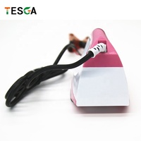 Mini Fer à Repasser Électrique Solaire à Fonction Sèche DC 12V 80W/100W