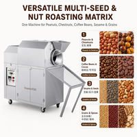 Torréfacteur Électrique Automatique pour Grains de Café, Cacao, Arachides, Machine à Torréfier en Acier Inoxydable pour Châtaignes, Noix, Graines de Tournesol