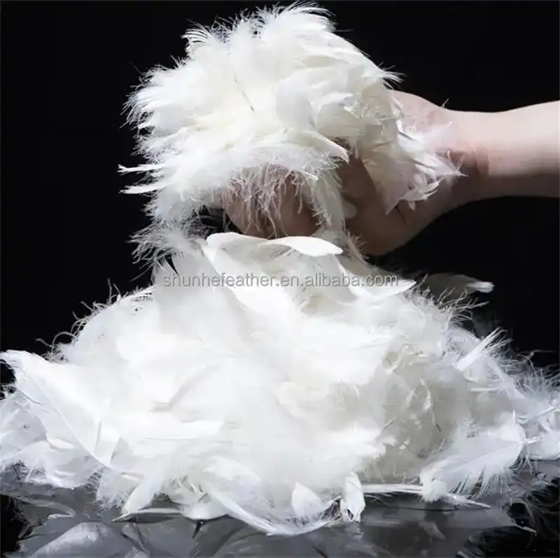 China Down Supplier Direct Sell Raw Material 2-4-6cm Goose Feather For Down Padding