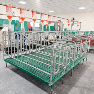 Equipo de Crí<span class=keywords><strong>a</strong></span> de Cerdos, Jaulas de Gestación para Cerdas Galvanizadas en <span class=keywords><strong>Venta</strong></span> - Product Image 4