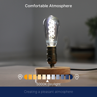 Bon marché Usine 220V E27 Rétro Edison ST58 Spiral Ampoule 5000K Lumière du jour 4W LED Corps en verre pour usage résidentiel Certifié CE