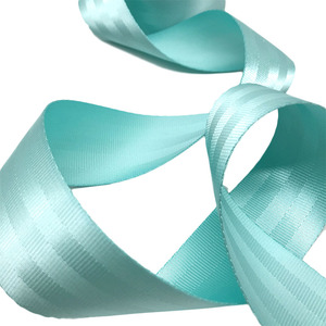 High Quality Wholesale High Strength 38mm <strong>2</strong> <strong>Inches</strong> Nylon White Seatbelt <strong>Webbing</strong> for Cars - Product Image 5