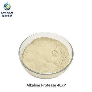 Protease alcaline 40XP Préparations enzymatiques en poudre pour une utilisation dans les industries telles que les détergents, le cuir, la soie et la transformation alimentaire - Product Image 3