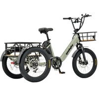Geobyke Vélo cargo électrique à 3 roues de 20 pouces 48V 250W Nouvelle batterie au lithium LCD Moteur de moyeu arrière Frein à disque Vélo cargo électrique