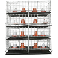 Équipement avicole commercial, cage en acier galvanisé automatisée pour cailles et poussins