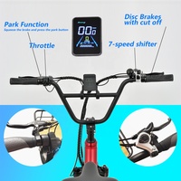 Geobyke Vélo cargo électrique à 3 roues de 20 pouces 48V 250W Nouvelle batterie au lithium LCD Moteur de moyeu arrière Frein à disque Vélo cargo électrique