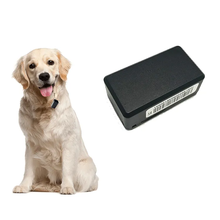 Vjoy araba GF10 mikro su geçirmez GPS 700mAh evcil köpekler kediler kuşlar Mini Pet bulucu