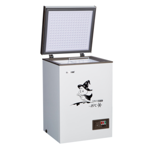 Congélateur coffre mini BD-100 à ouverture par le haut, certifié CE, idéal pour les usines, prix abordable - Product Image 1