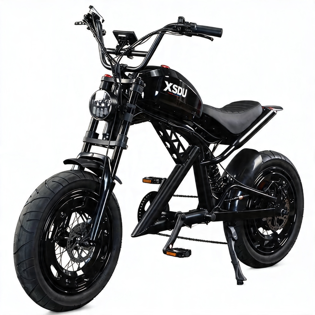 Electric Motorcycle 52V 1500W Brushless Rear Hub Motor Adult Ebike 30Ah Lithium Battery Long Range High Performance All Terrain