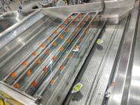 Nieuwe Aangepaste Fruit Verwerkingsmachine Volautomatische Pitaya Sap Verwerkingslijn Hoge Kwaliteit Pitahaya Pulp Productie-Installatie