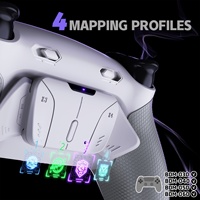 Kit de palettes RISE4 Plus MAX en plastique caoutchouté blanc-gris avec boutons arrière Remap et fonction Click for Stops pour boîtier de manette