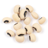 Haricots secs de qualité supérieure en vrac, haricots à yeux noirs, haricots rouges et blancs, extrait végétal pour l'alimentation animale