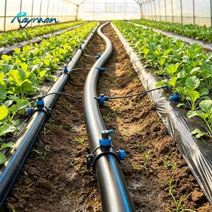 Tuyau en polyéthylène haute densité Rayman, petit diamètre DN20 25 <span class=keywords><strong>32</strong></span> 40 50 63 75 90 mm, tuyau en spirale HDPE pour l'irrigation agricole - Product Image 6
