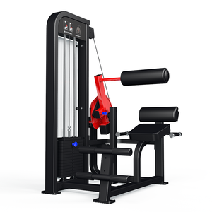 Machine d'extension dorsale commerciale <span class=keywords><strong>Yongwang</strong></span> - Équipement de gym écologique à cadre en acier robuste pour l'entraînement de force - Product Image 1