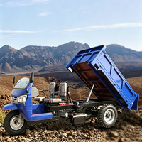 Tricycle utilitaire diesel à châssis renforcé pour le transport agricole et minier en Afrique du Sud - Vente chaude usine