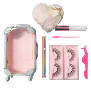 Nouveauté, logo personnalisé, étiquette privée, mignon, à ailes, mixte, <span class=keywords><strong>mini</strong></span>, multi-usage, valise en plastique, boîte d'emballage - Product Image 4