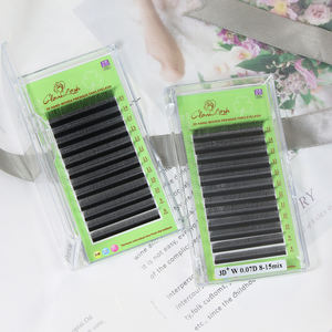 GLAMLASH Forme W 3D Premade Volume Fans Extensions <span class=keywords><strong>de</strong></span> <span class=keywords><strong>cils</strong></span> Stylish Three-Core Trays 3D W Shaped Lash Extension - Product Image 5