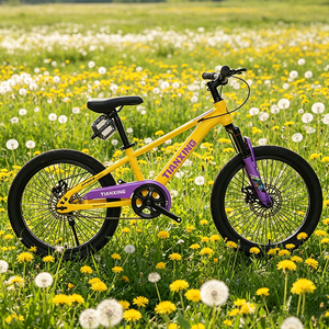 Bicicletta da 20 pollici per <span class=keywords><strong>bambini</strong></span> di buona qualità, mountain bike, confezione in cartone AB, bici sportiva - Product Image 1