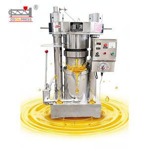 Prensa de Aceite Industrial de Germen de Trigo de Gran Tamaño, Equipo de Alto Rendimiento de Acero Inoxidable, Prensas de Aceite Multifuncionales - Product Image 1