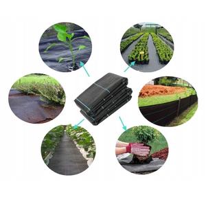 Toile de paillage anti-mauvaises herbes pour serre, non tissée, sans barrière, verte et blanche, en rouleaux pour l'agriculture - Product Image 4