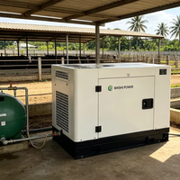 10kW 15kW 20kW 30kW Erdgas-Generator LPG-Generator Sparsame Benzin-Generatoren mit ATS für Landwirtschaftliche Nutzung
