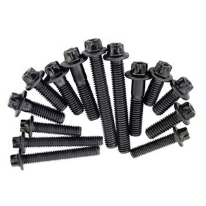 Negro <span class=keywords><strong>A2</strong></span> Acero inoxidable 304 Cabeza personalizada especial Torx Accesorios <span class=keywords><strong>para</strong></span> automóviles Matrícula de motocicleta Tornillos autorroscantes - Product Image 5