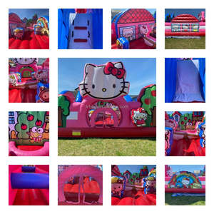 Incredibile Castello Gonfiabile Portatile in PVC a Forma di Gatto Cartone Animato, Nuovo Design Combo Casa Rimbalzante per Feste e Parchi Giochi per Bambini - Product Image 6