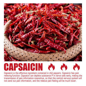 Plester Pereda Nyeri Punggung Bagian Bawah Label Pribadi OEM, Plester Capsicum Merica untuk Sendi dan Otot - Product Image 4