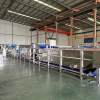 Pasteurisateur automatique continu à convoyeur pour boissons, sachets, sauce tomate, purée de fruits, confiture – Machine de pasteurisation à l'eau chaude