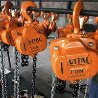 WEMAX Nouvelle Palan à Chaîne Manuel 2 Tonnes, Bloc de Levage IP54, Outil de Levage Manuel pour Travaux Agricoles et Métallurgiques, Garantie 1 An Testée