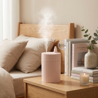 Humidificateur d'air électrique rechargeable pour la maison, brumisateur, humidificateur pour bébé, chambre à coucher, ultrasonique, brume, voiture, pièce, humidificateur H20, H2o