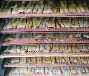 <b>Electric</b> Heating <b>Dryer</b> Suitable for Food Industry - Product Image 4