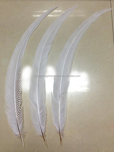 Chất Lượng Cao 15-80 Cm Nhuộm Bạc Gà lôi Đuôi Lông Cho Đám Cưới Bên DIY Thủ Công Mỹ Nghệ Carnivals - Product Image 2