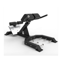 Salle de sport à usage commercial Entraîneur musculaire abdominal réglable à 45 degrés Banc d'exercice d'extension du dos hyper chaise romaine