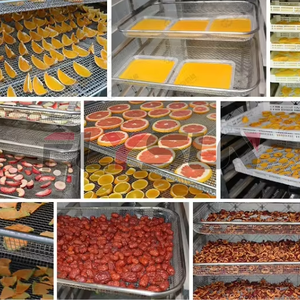 Obst-Trockenraum Trocknungsanlage für Pitayas, Kiwis und Avocados Wärmepumpen-Trockenbox - Product Image 5