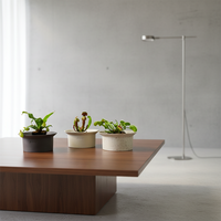 Petit pot de plante en céramique avec trou, beige, gris foncé, pour plantes succulentes, décoration de bureau et de maison