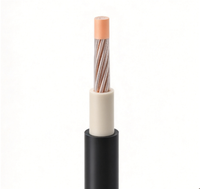 Câble de stockage d'énergie de batterie basse tension flexible en cuivre EPR HOFR Zhongkai 0361TQ BS 638 25mm²