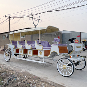 Charrette de luxe longue pour visites touristiques, plusieurs sièges, panneaux latéraux en bois, transport extérieur pour mariages et festivals - Product Image 6
