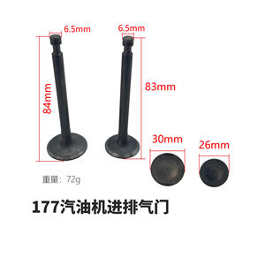 168F170F173F177F 188F190F Piezas de válvulas para motores de gasolina, generadores y minitractores, incluyendo válvulas de admisión y escape y taqués - Product Image 5