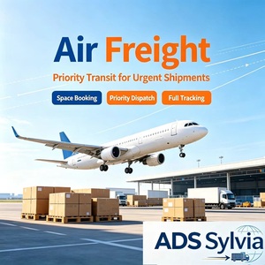 Agenzia di Spedizioni Marittime per Israele, Servizio Professionale DDP, Trasporto Aereo DHL UPS Fedex per Israele, Kuwait, Arabia Saudita, Oman, DOH - Product Image 2