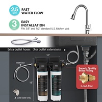 NSF/ANSI 53 & 42 filter air keran perubahan cepat 2 tahap bersertifikat untuk dapur