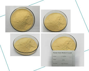 Günstigster Preis DL Lysin Base - Product Image 6