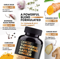 Capsule de Curcuma Biologique de Chine en Gros OEM, Supplément Naturel de Curcumine, Biopérine, Extrait de Racine d'Ail et de Gingembre