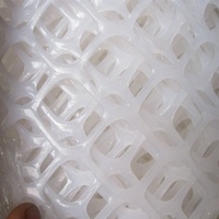 Filet hexagonal en plastique PE, filet pour volailles, filet de protection