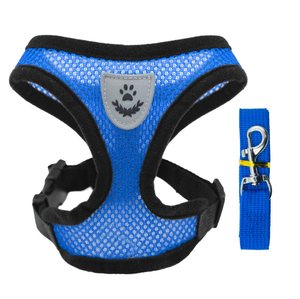 مستلزمات الحيوانات الأليفة ، حزام من النيوبرين للكلاب ، حزام من البوليستر ، حزام قابل للتعديل - Product Image 6