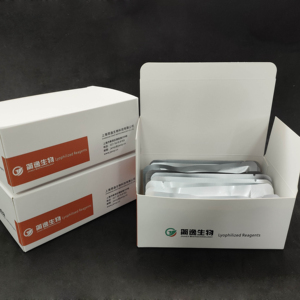 Kit de Detección Molecular de <span class=keywords><strong>Bacilos</strong></span> de la Fiebre Puericular, Solo para Uso en Investigación (RUO) - Product Image 1