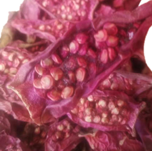 Té de Hierbas Saludable, Rodajas de Fruta Seca de <span class=keywords><strong>Opuntia</strong></span> Ficus-indica, Nopal, Cactus, en Venta - Product Image 2